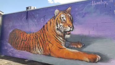 25 ft spray-painted Tiger- Provo, Utah
spray paint outdoor art street art wildlife animal art utah