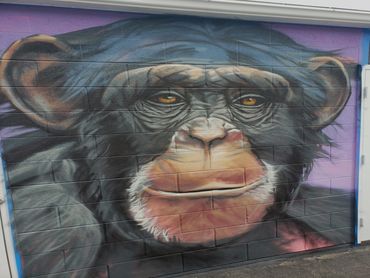 Chimpanzee Utah murals mural Bob Ross spray paint outdoor art street art wildlife animal art