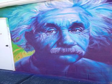 Albert Einstein Utah murals mural spray paint outdoor art street art wildlife animal art Utah