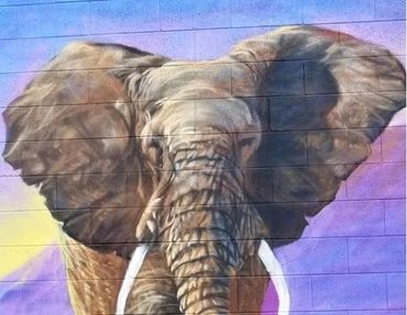 Elephant spray painted murals
spray paint outdoor art street art wildlife animal art utah