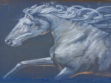  Wild Horse Utah murals mural spray paint outdoor art street art wildlife animal art utah