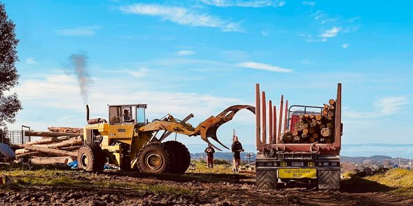 A loader transferring logs to a truck in a muddy yard under a bright blue sky.
