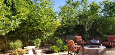 Firepit, Bamboo, Flowering Trees, Flagstone, Travertine, Porcelain, Outdoor Lighting