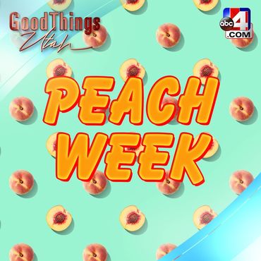 Good4Utah Logo & Branding