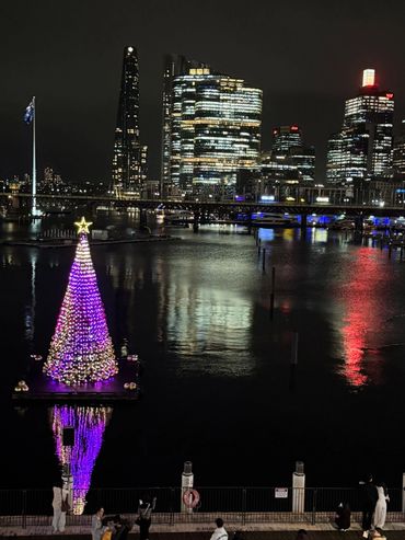 Sydney Darling Harbour Christmas Tree RGB Lighting