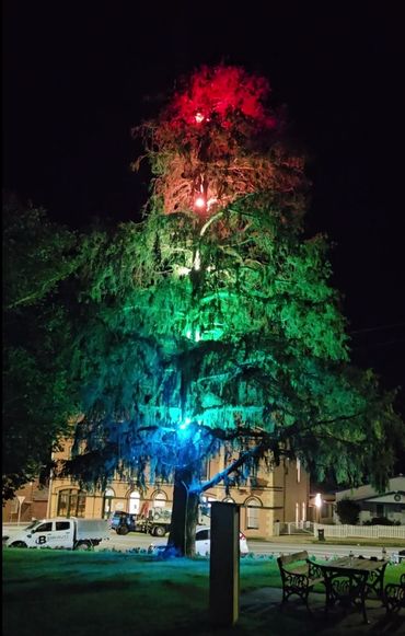 RGB Tree Lighting using mini RGB flood lighting