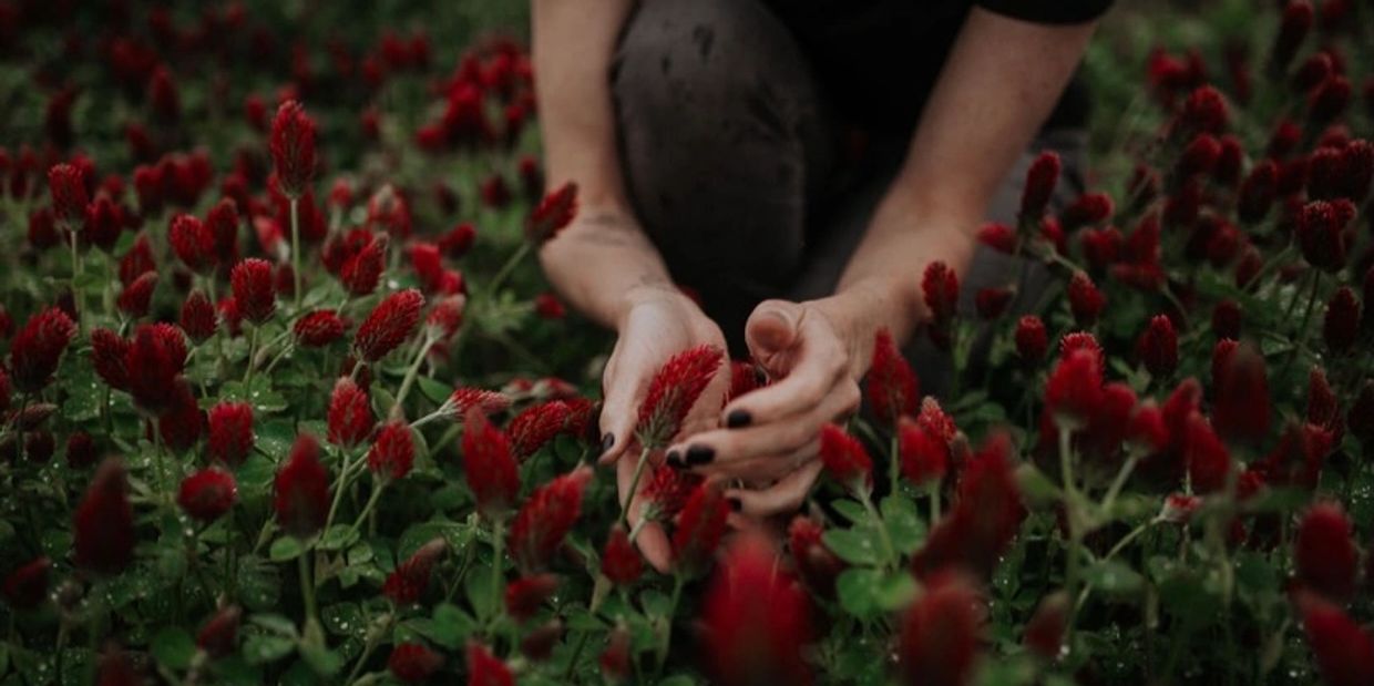 Photo: Heather Hall Photography