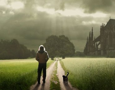 A man and a cat walking together in empty field