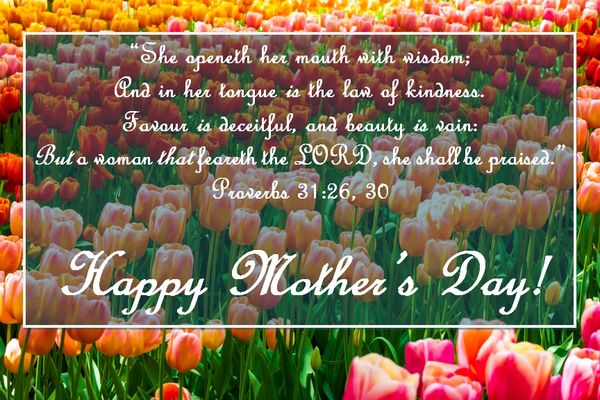 Field of Tulips with Provers 31:26, 30 overlaying it. Happy Mother's Day!