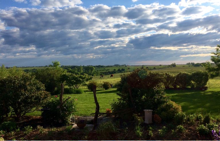 View from Longview Farms