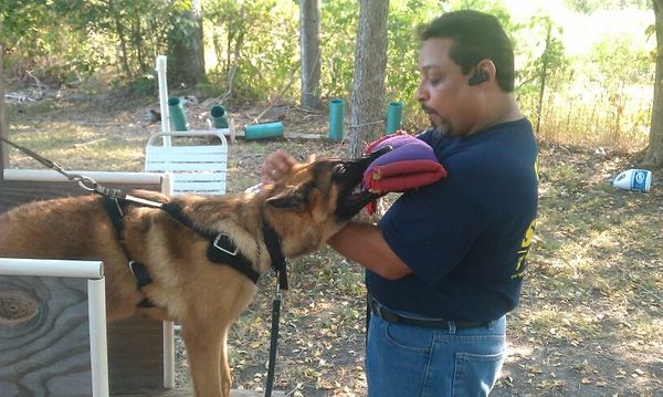 One of our students performing bite work exercises with dog trainer Dean Rivera.