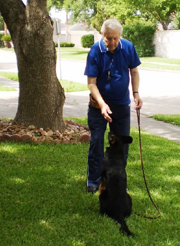 Dog training for elders is also offered by K9 Academy.