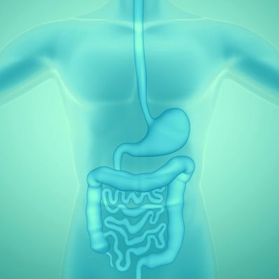 Digestive system | Piles treatment in vasai west Ayurvedic medicines for digestion problems in vasai