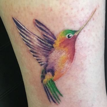 Humming bird tattoo walkins