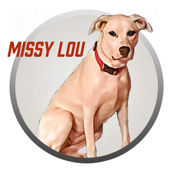 The name PitStop Mobile Oil Change was inspired by our beloved Pitbull mix, Missy Lou. Missy  is one