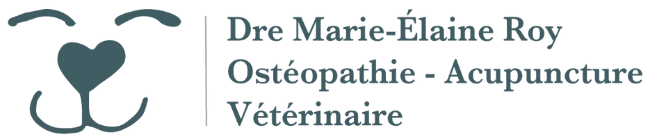 
Acupuncture & Ostéopathie
Vétérinaire
