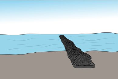 rock bags can be used to build groynes providing protection against tidal erosion