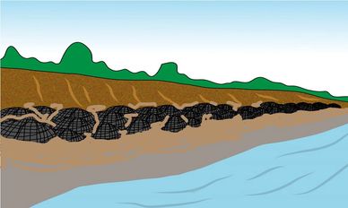 rock bags placed along embankment accumulate sand becoming more robust protection