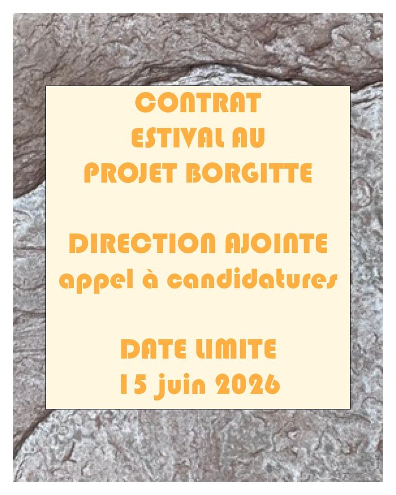Annonce appel à candidatures pour un contrat estival au projet Borgitte.