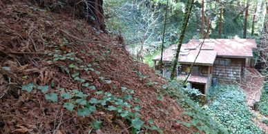 Septic tank system design for a tight property in Carmel Highlands, CA.