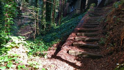 Project location on a tight lot in Palo Colorado Canyon, Monterey County, California.