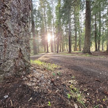 camping in the okanagan, near Mara Lake, sicamous and enderby