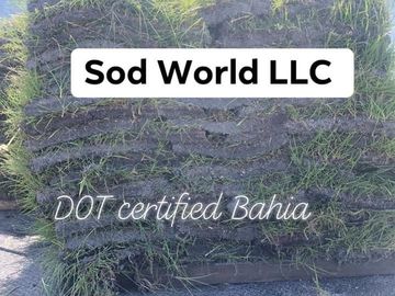 bahia sod. bahia sod near me bradenton sarasota. fresh cut bahia install. dot certified bahia D.O.T 