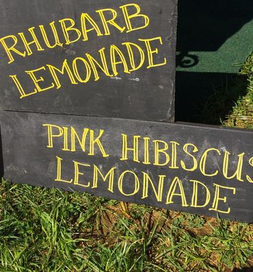 Rhubarb Lemonade and Pink Hibiscus Lemonade