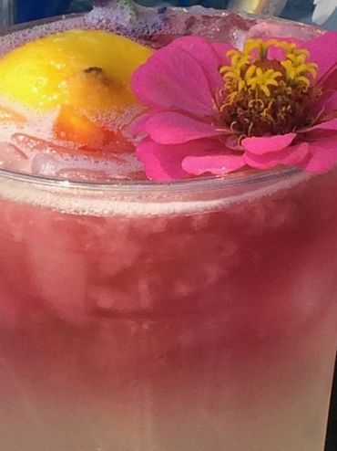 Pink Hibiscus Lemonade with Zinna garnish