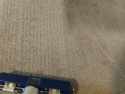 Using a 4 jet Tony Dang swivel wand with sight glass to see full extraction while carpet cleaning. 