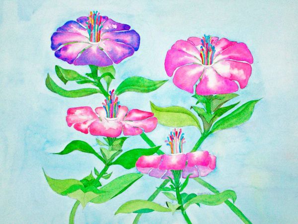 These very different flowers drawn from my creativity embellish happiness and joy for the viewer. Br