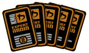 Krav Maga expert patches – Echelon Krav Maga London