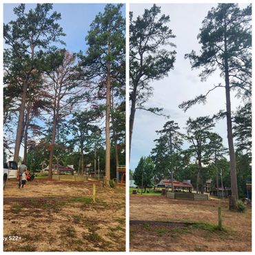 A park with tall trees and a playground on a partly cloudy day.