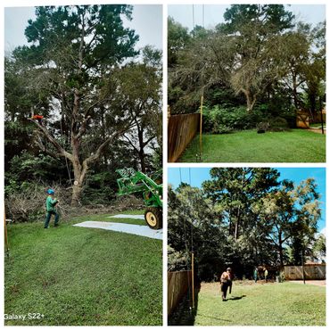 Tree removal and yard cleanup by workers with equipment.
