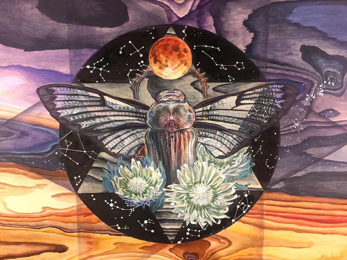 beetle in the desert