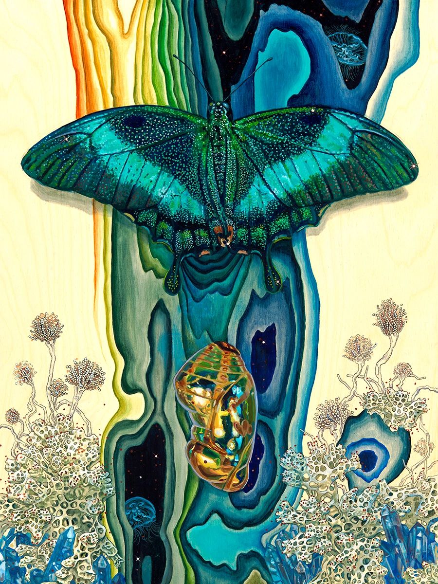 Visionary art of a buttery with chrysalis and coral