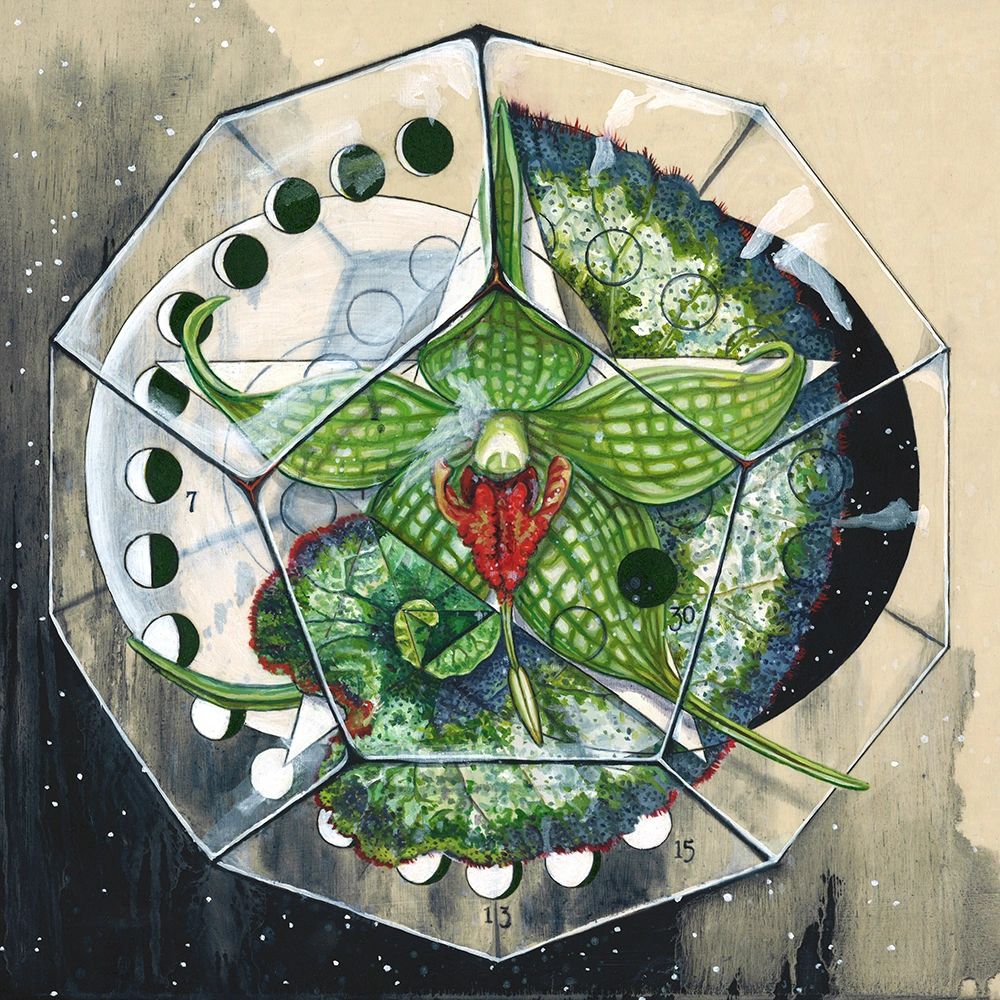 green orchid