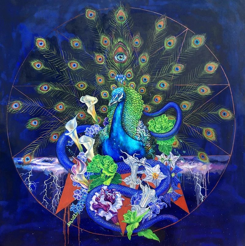 peacock