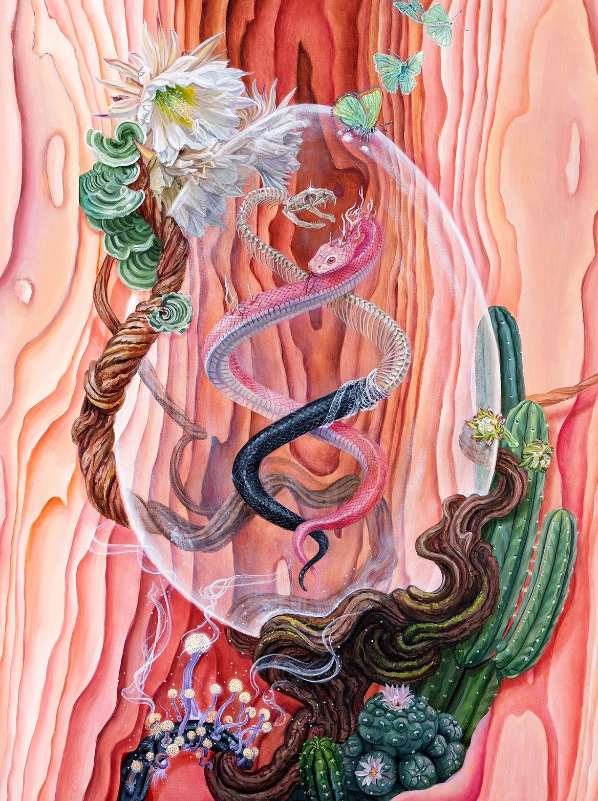 Visionary art by Michelle Anderst of snakes, Ayahuasca vine, LSD mushroom and san Pedro cactus.