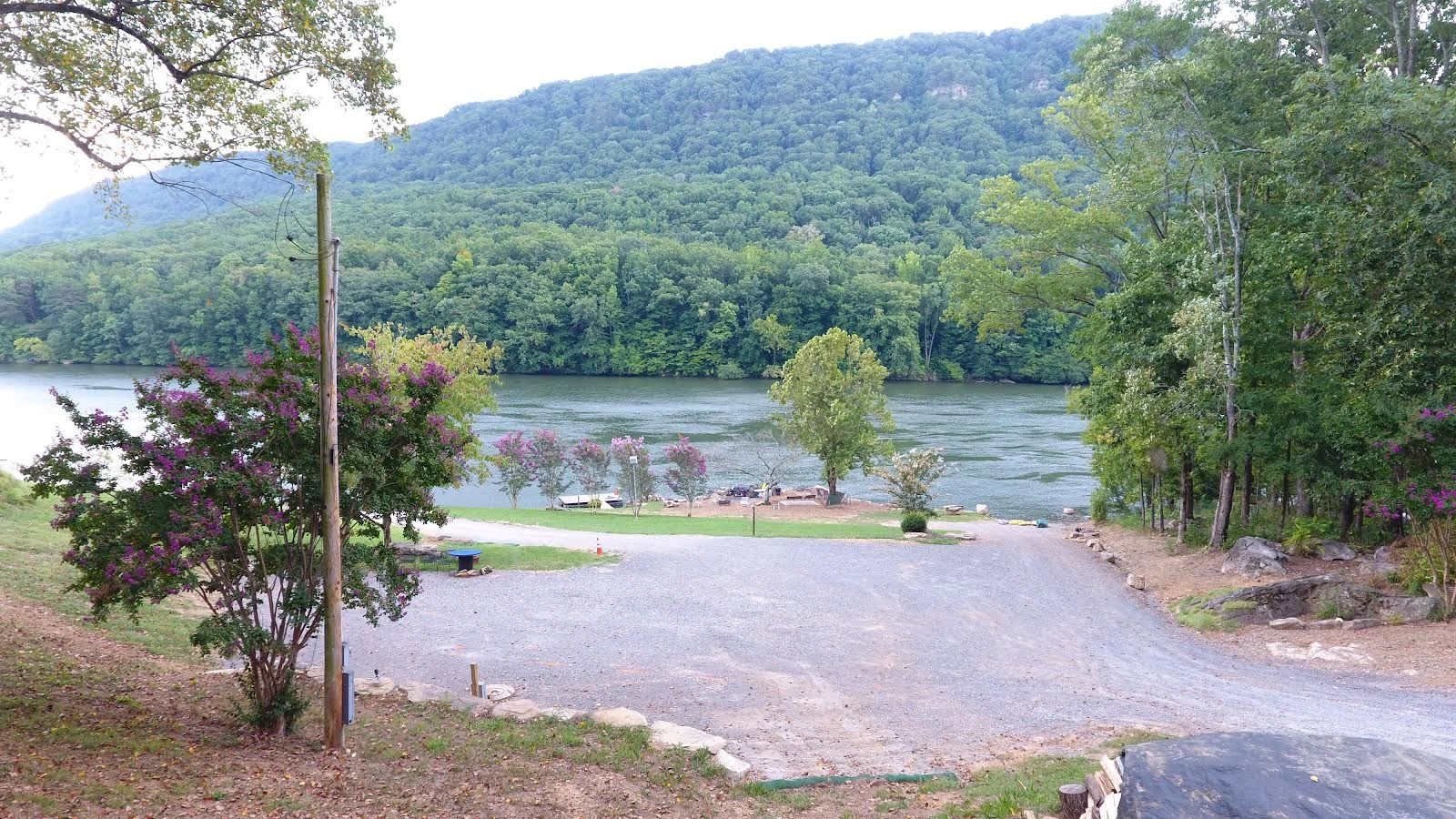 Scenic riverside view with lush green hills and purple flowering trees.