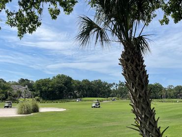 George Fazio Golf Course in Palmetto Dunes, Hilton Head Island