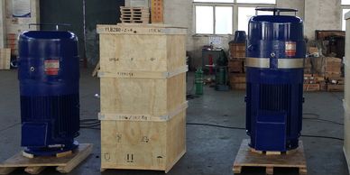 YL and YLB series high Voltage 6KV up to 20kV large vertical large thrust three-phase asynchronous v