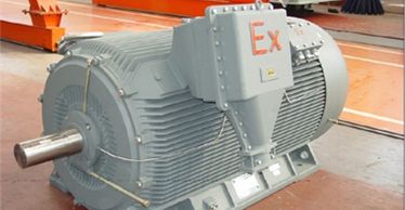 Flameproof motor : Exd I Mb, Exd II AT4 Gb, Exd II BT3 Gb, Exd II BT4 Gb
Explosion Proof motor