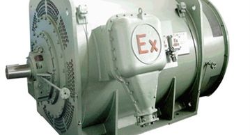 Flameproof Three-Phase Asynchronous Motor 6KV, 10KV); T, TL, TK series synchronous motors