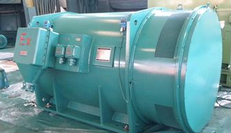 Premium efficiency LV, HV explosion proof motor,flameproof motor,flame proof motor manufacturer
