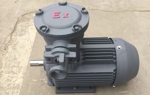 High efficiency LV  explosion proof electric motor. It has 100% copper winding and it has iron cast