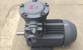 High efficiency LV Flameproof electric motor. It has 100% copper winding and it has iron cast