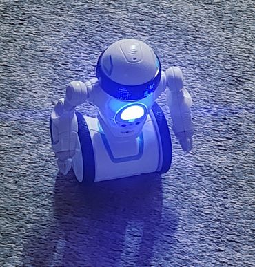 Mr Fred The Robot is a new addition to our team, He traveled from the UK. He contains an infrared ca