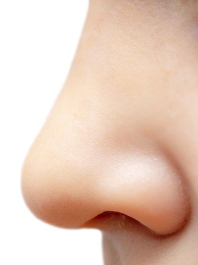 Image of profile of a nose