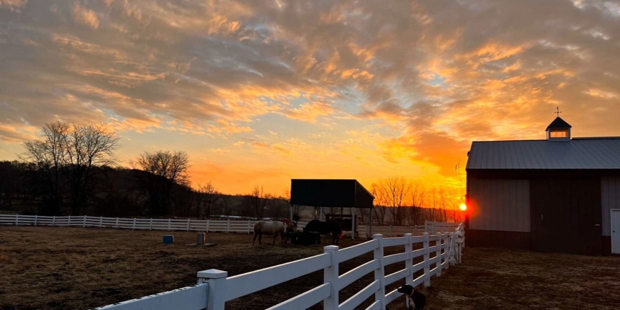 Sunset over a fenced farm with horses and a barn.